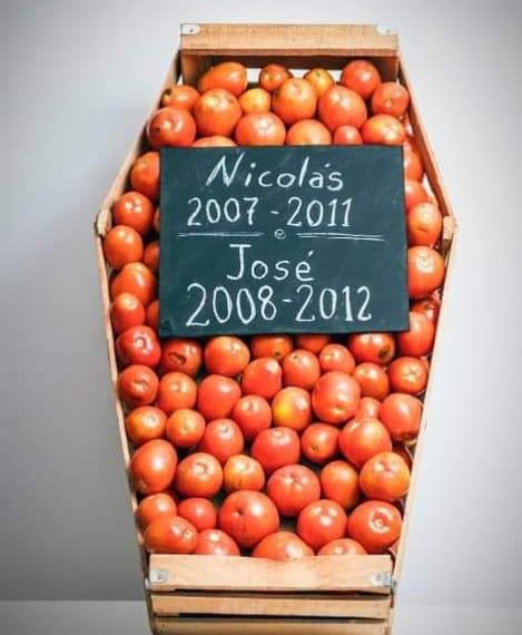 081b179e-13f5-4a98-9dbc-dcc24000726a