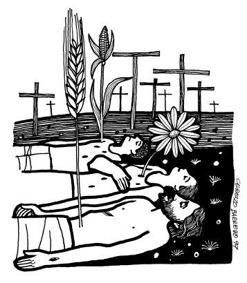 grano de trigo muere