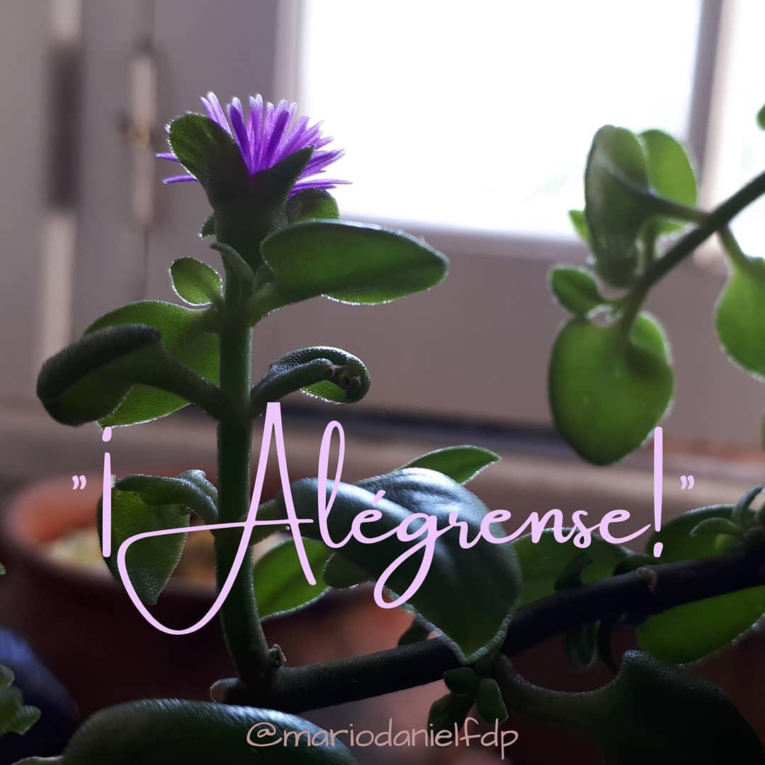 e3715727-3be8-40a0-92e5-c1baddd33792