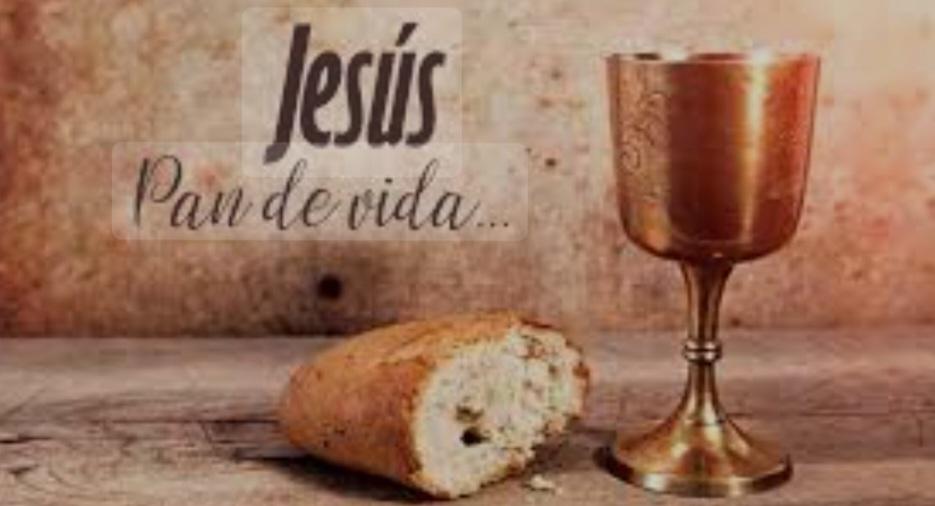 Screenshot_20240804-090110_Google(1)