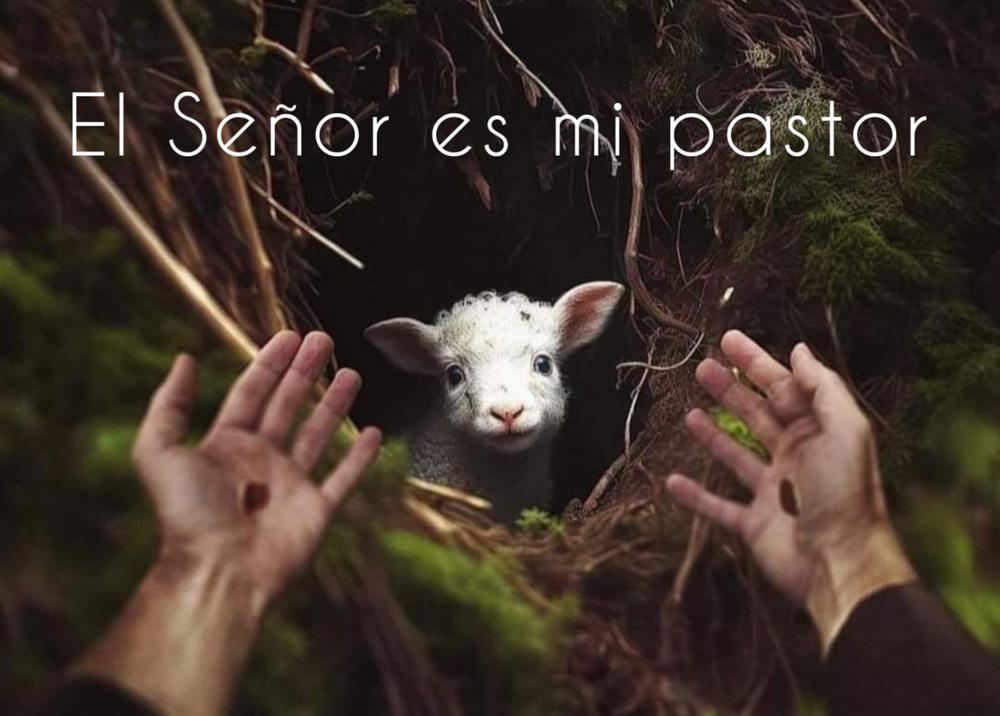 El Buen Pastor 2024