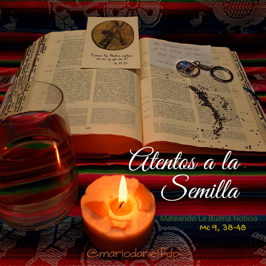 El Reino de Dios es semilla