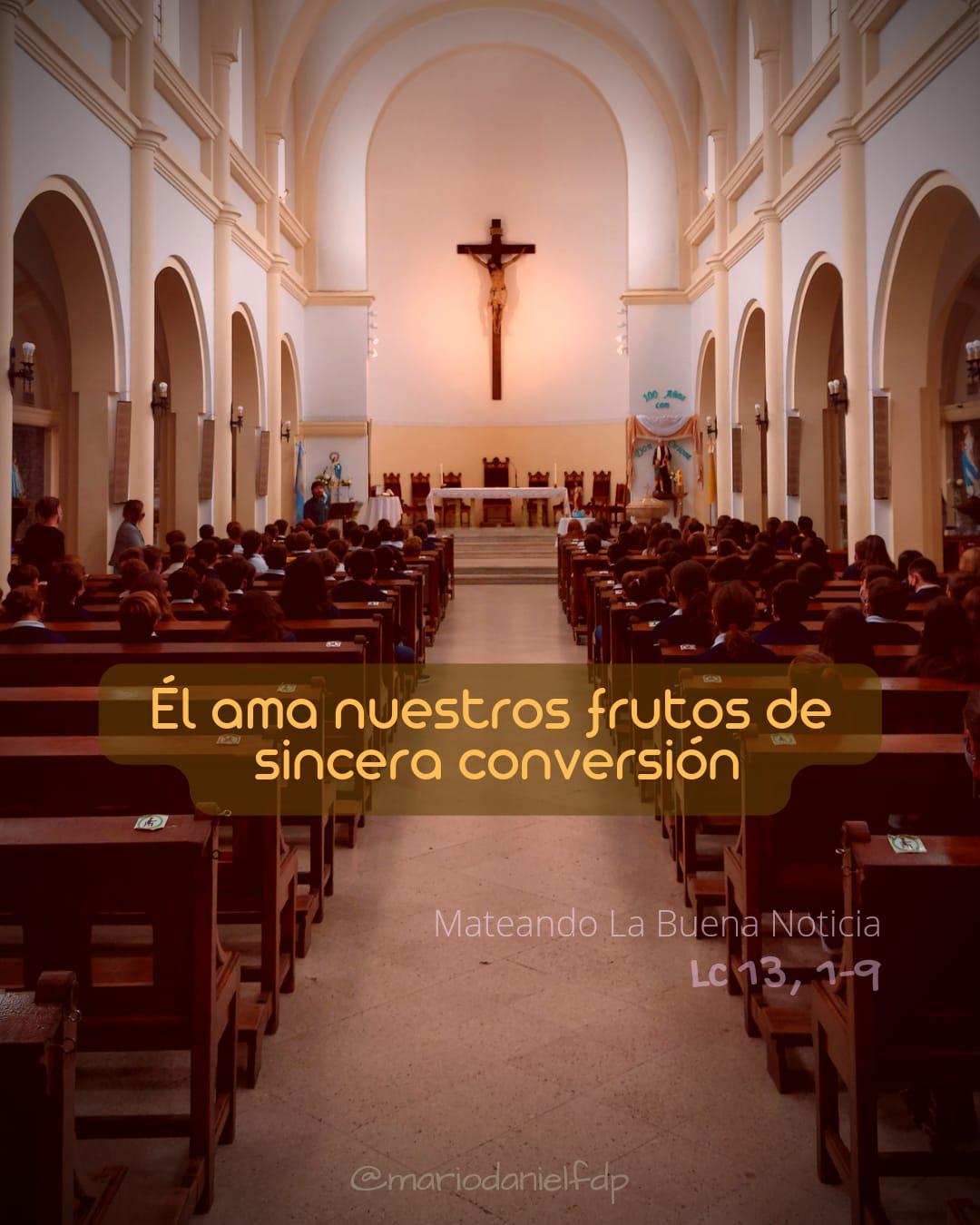 Convertirnos y dar fruto