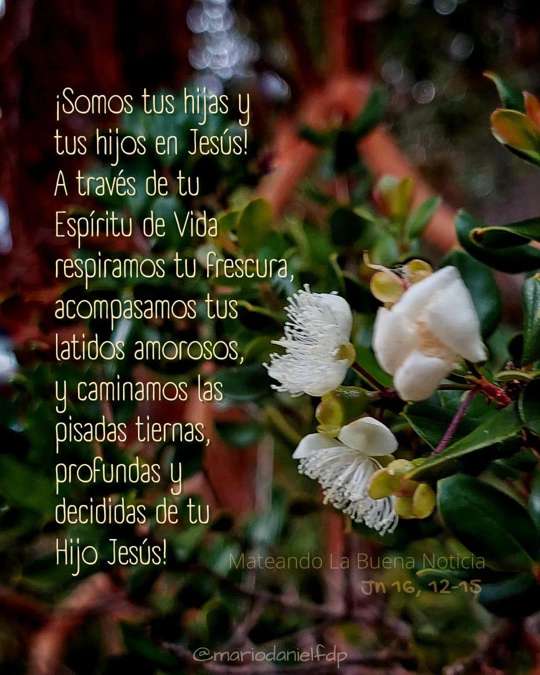 Trinidad que camina con nos