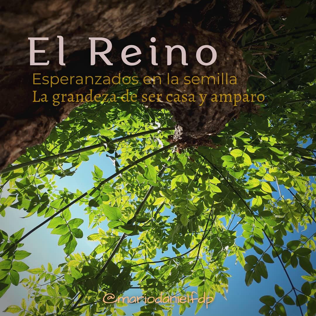 Reino, grano de mostaza