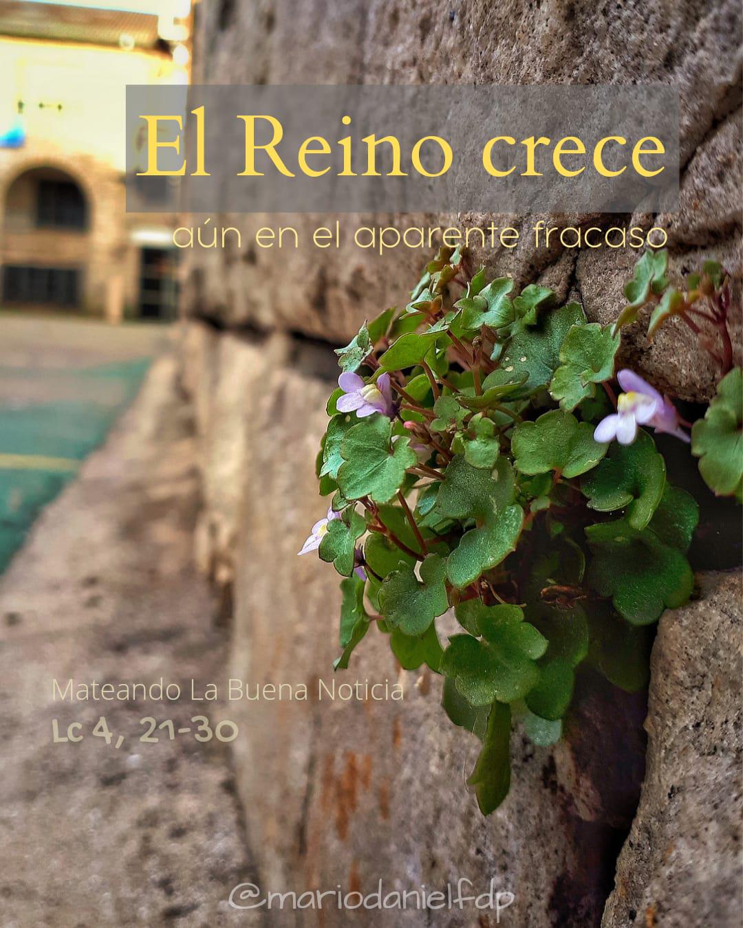 El Reino Crece