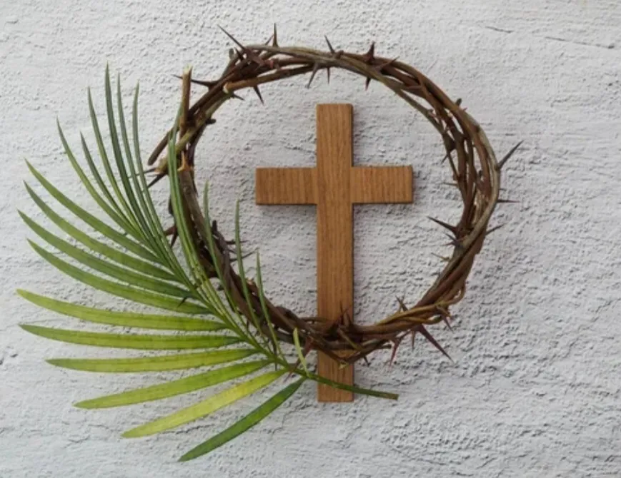 Screenshot_20250413-090537_Photos