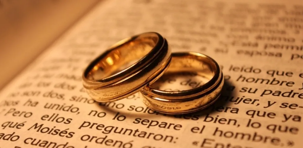 Screenshot_20241005-201557_Google