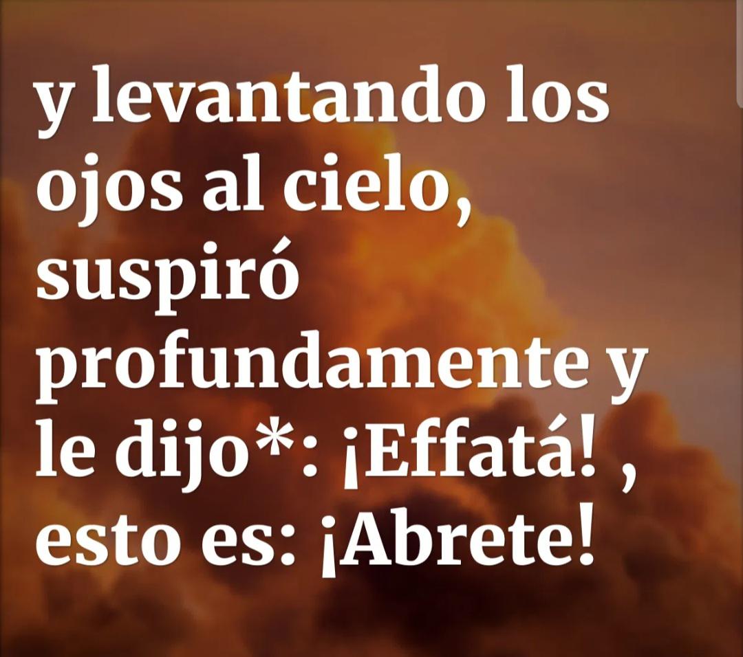 Screenshot_20240908-075513_Edge